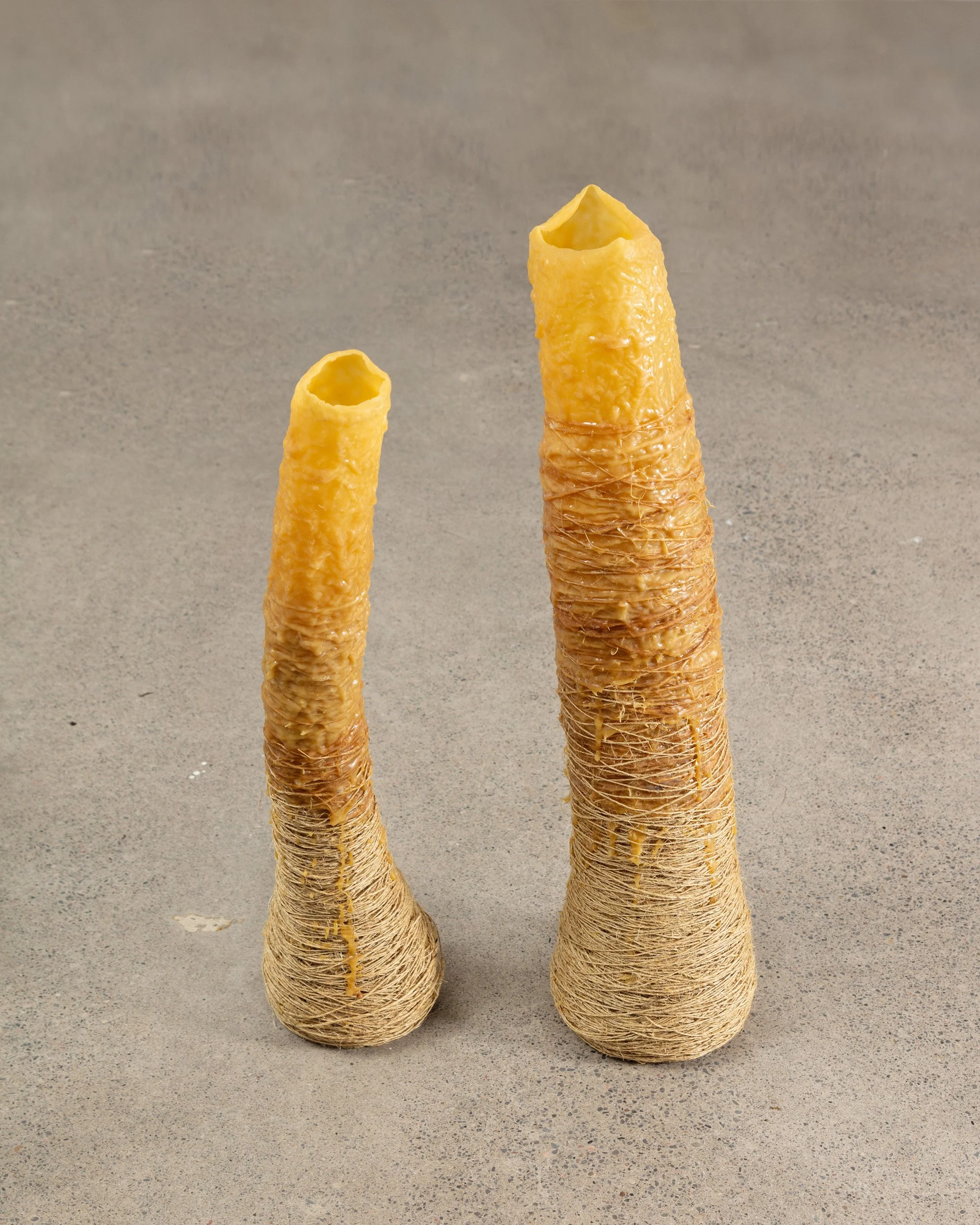 EllenBleiwas-Home-05_PhotoLF Documentation.jpg