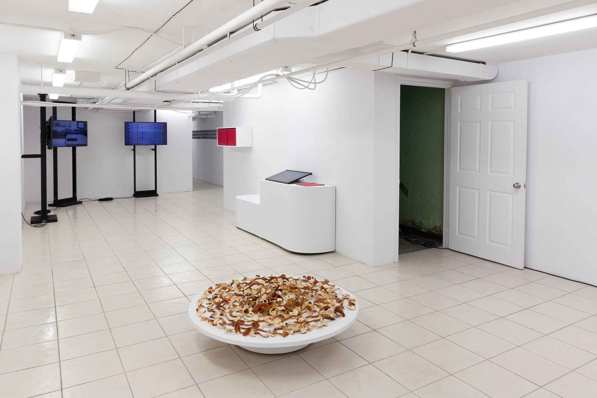 Installation view of "the hole fits the worm, but only as it moves" at the plumb