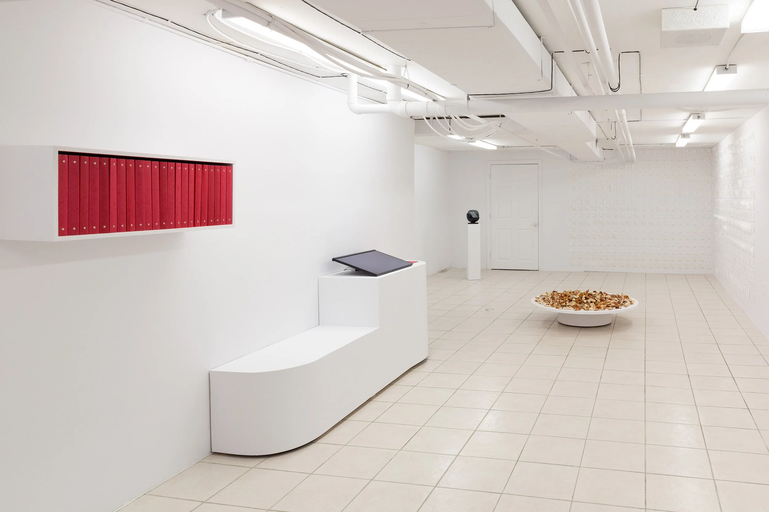 Installation view of "the hole fits the worm, but only as it moves" at the plumb
