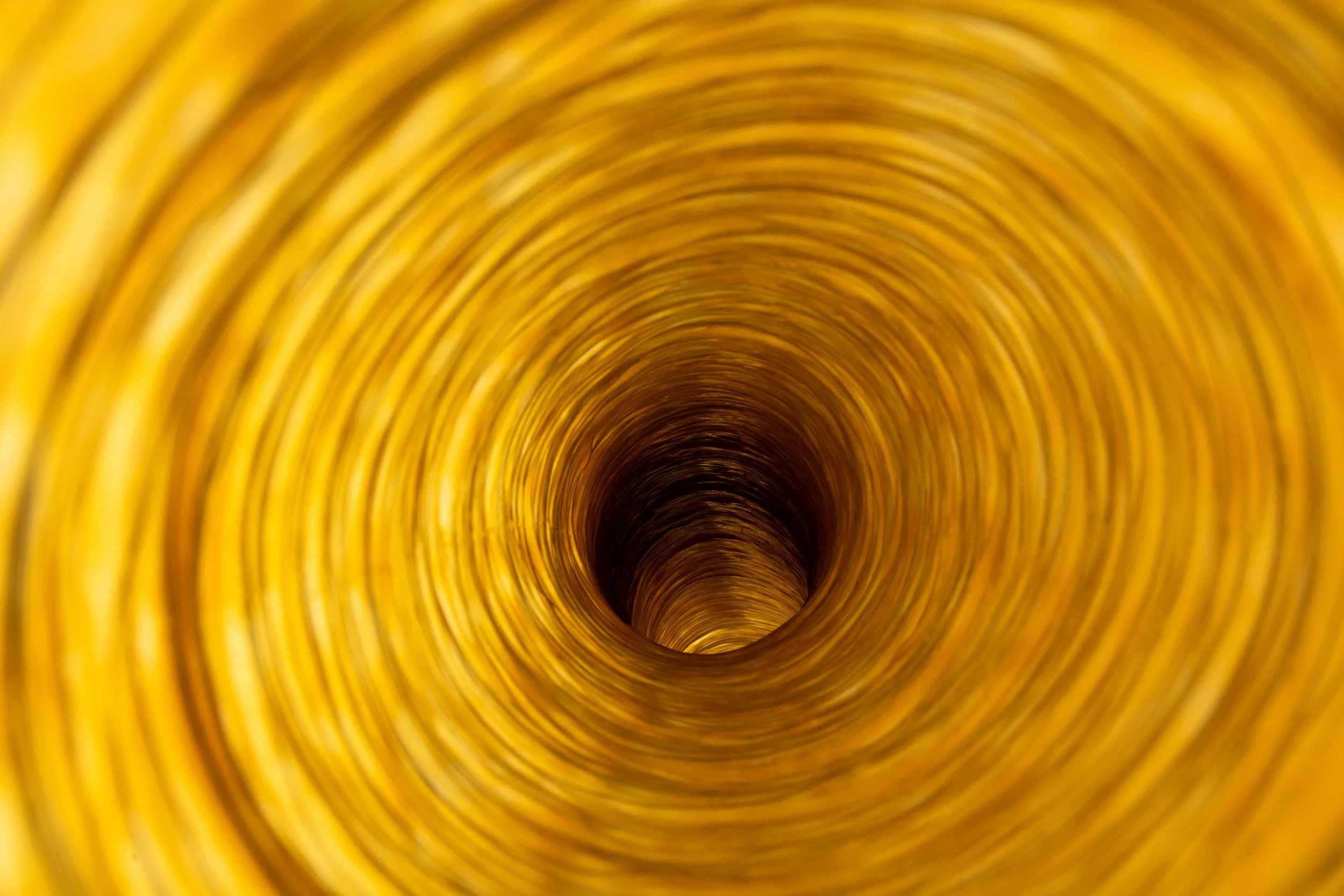 EllenBleiwas-Home-12_PhotoLF Documentation.jpg