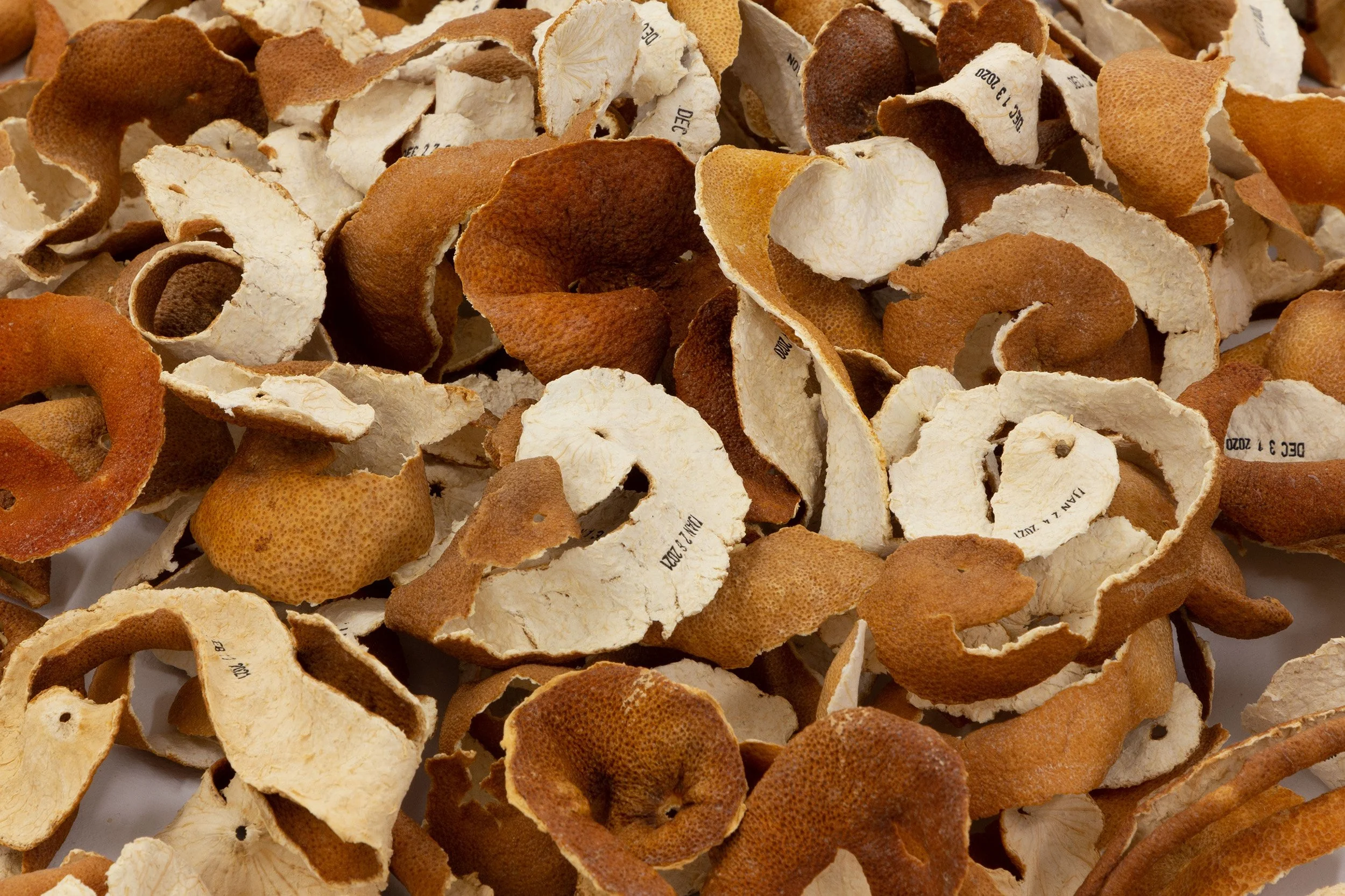 Ellen Bleiwas, "Peel", 2020-2021. Clementine peels, ink. 200 date-stamped clementine peels, 5" x 47" x 47"