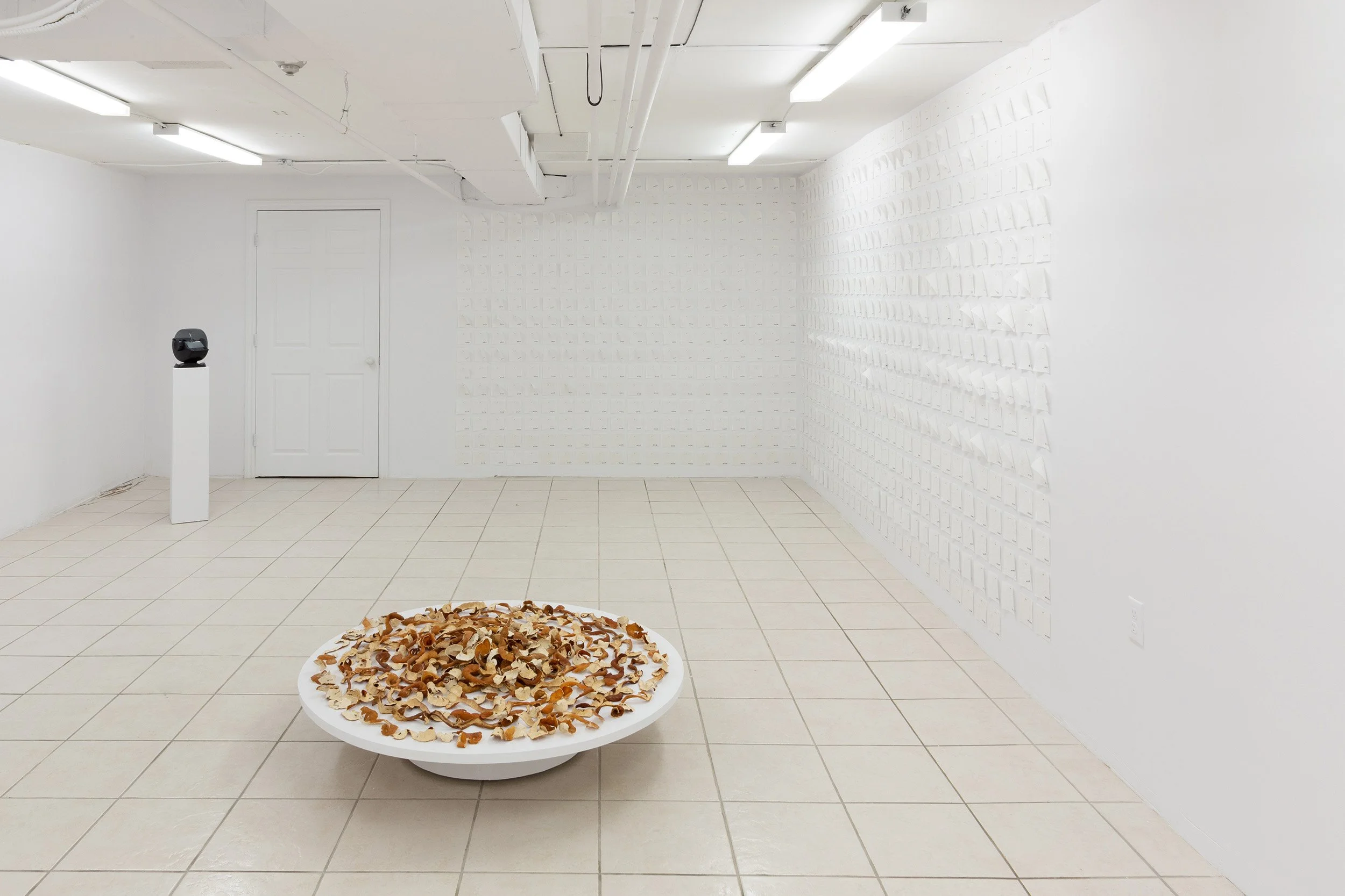 Installation view of "the hole fits the worm, but only as it moves" at the plumb