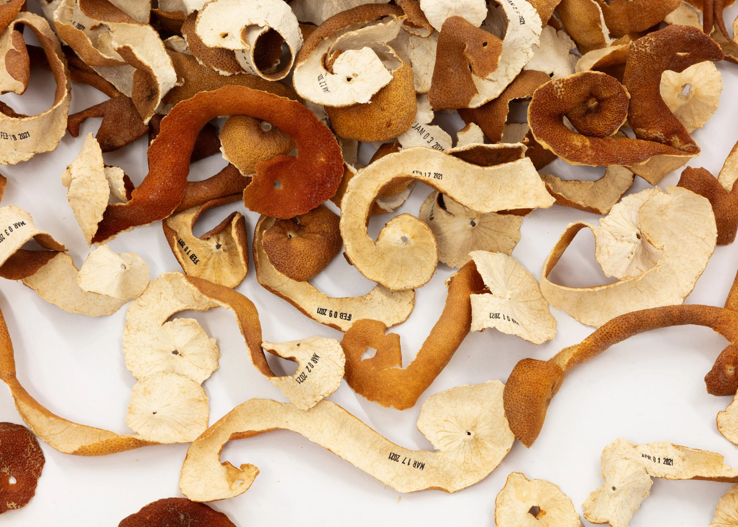 EllenBleiwas-Peel-05__PhotoLF Documentation.jpg