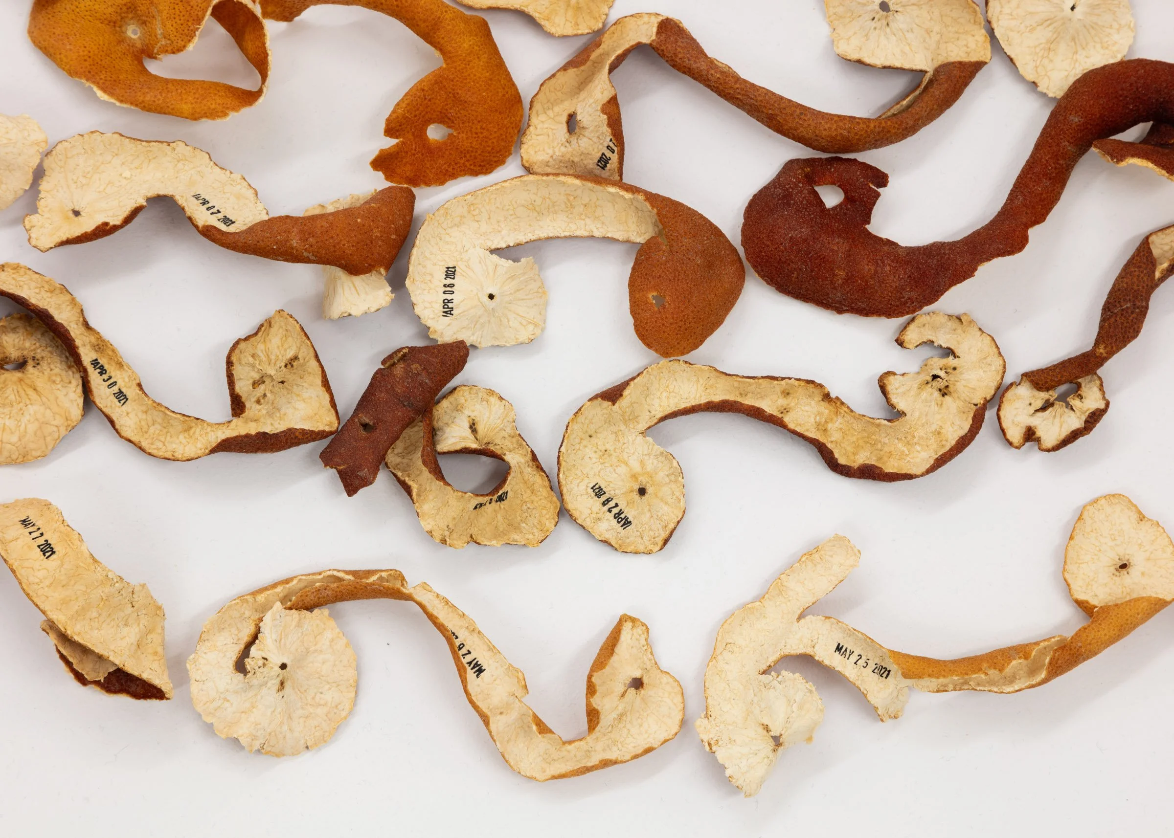 EllenBleiwas-Peel-06__PhotoLF Documentation.jpg