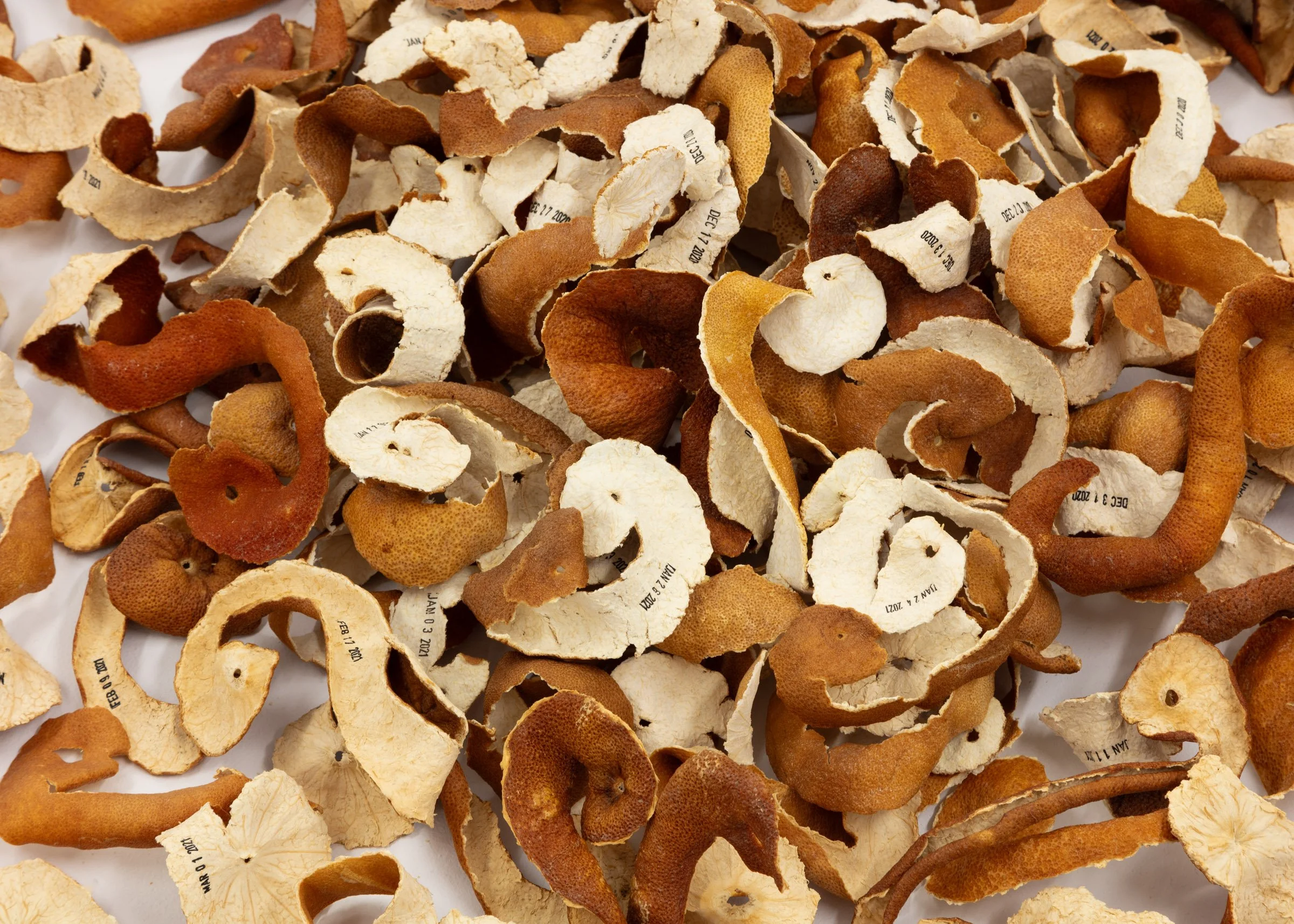 EllenBleiwas-Peel-02__PhotoLF Documentation.jpg