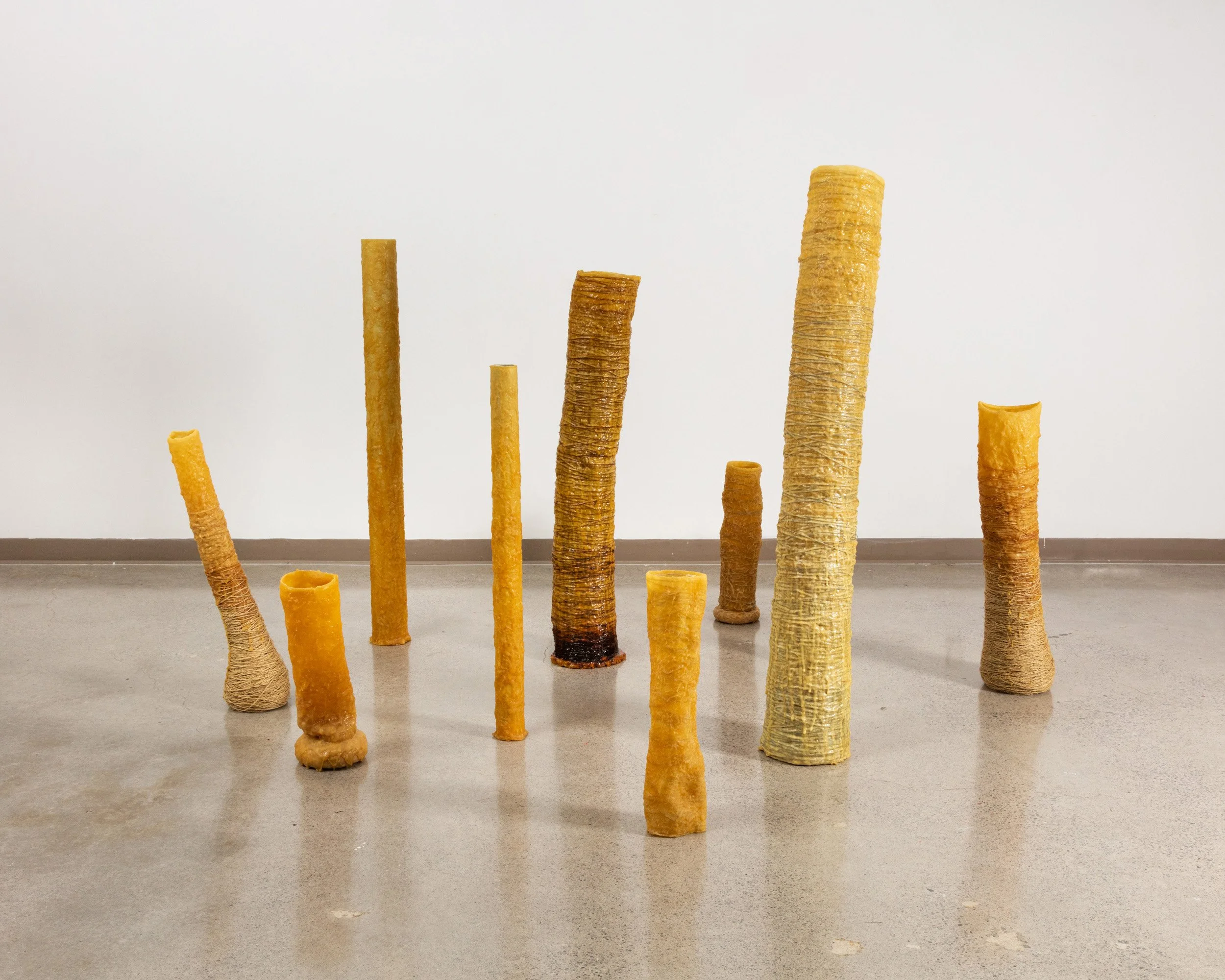 EllenBleiwas-Home-13_PhotoLF Documentation.jpg