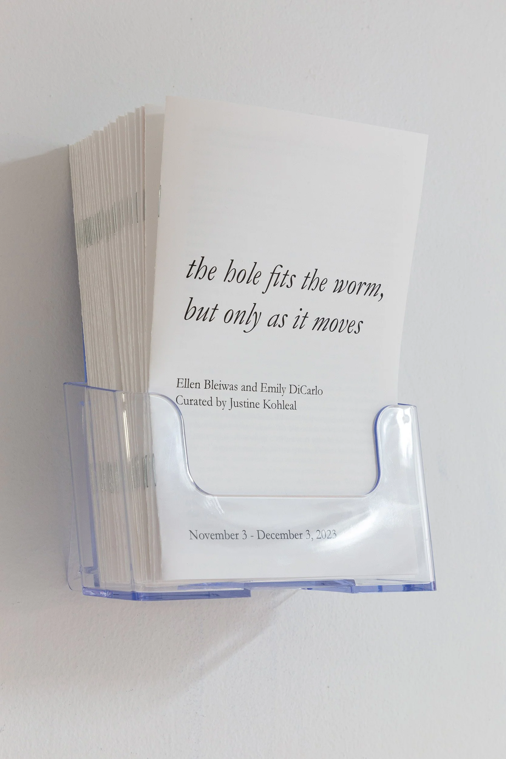 Installation view of "the hole fits the worm, but only as it moves" at the plumb