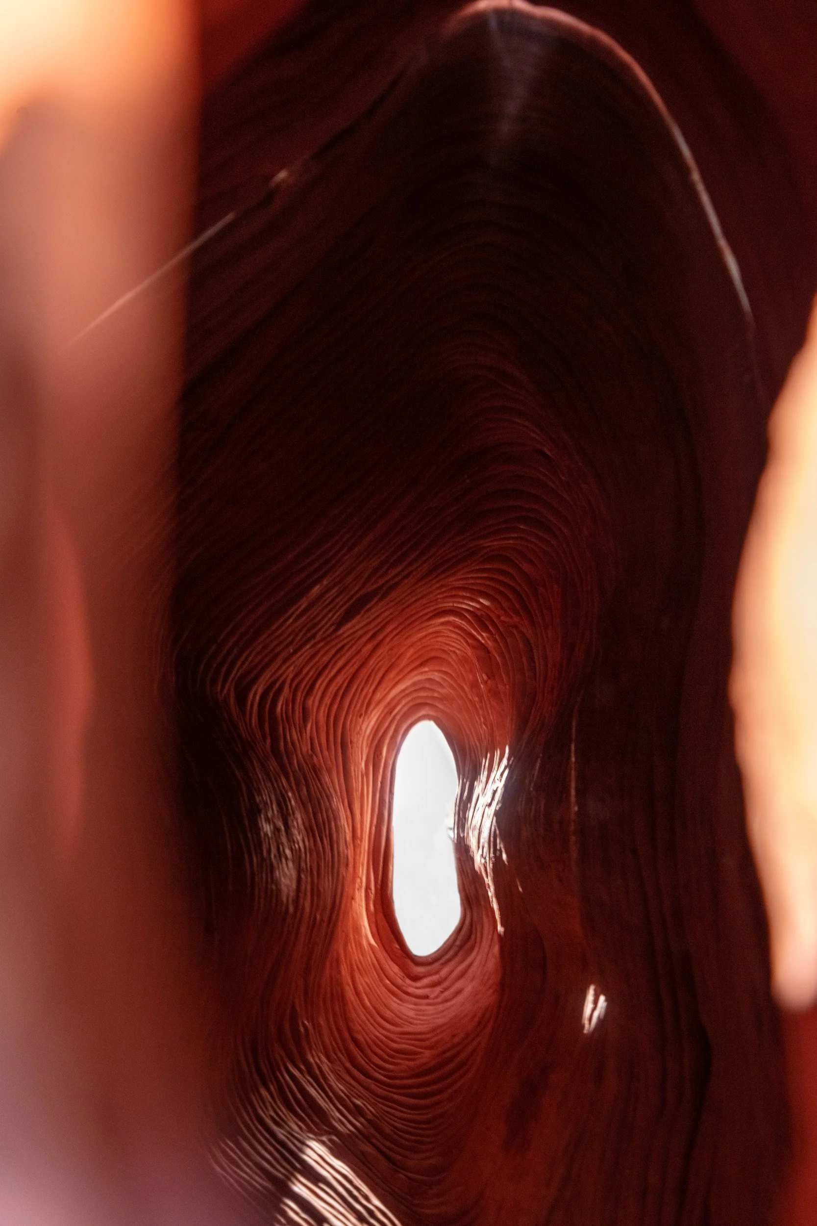 EllenBleiwas-Home-03_PhotoLF Documentation.jpg