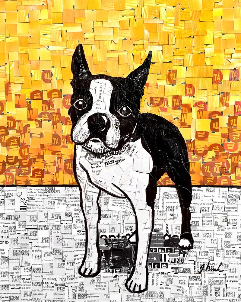 Collage artwork of a Boston Terrier dog made from cutouts of magazine pages, with a background of yellow and orange ticket stubs and a lower border of travel tickets.