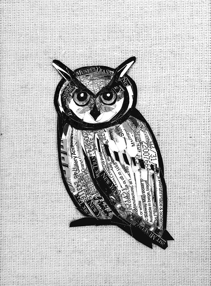 A collage art piece of an owl created from various cutouts and magazine clippings, mounted on a textured background.