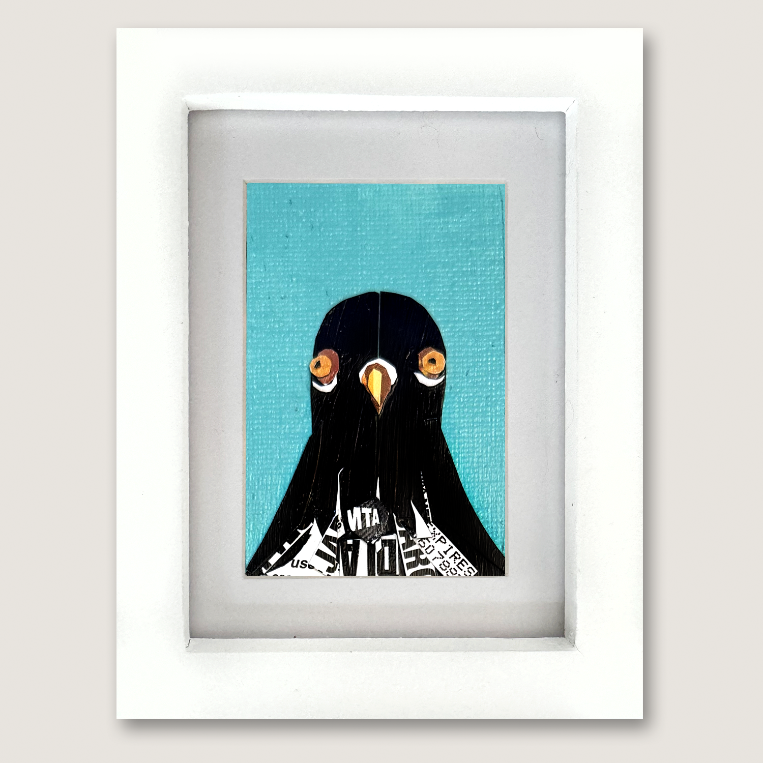 mini_pigeon_frontal_front.png
