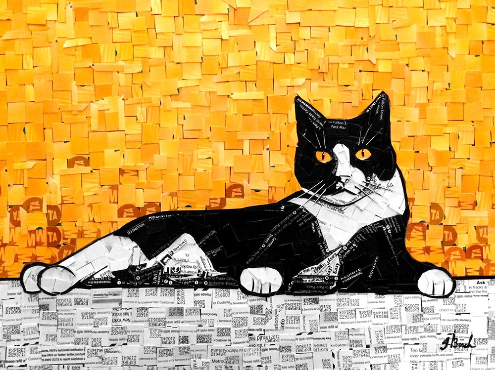 Artwork of a black and white cat lying on a surface, with a textured orange background.