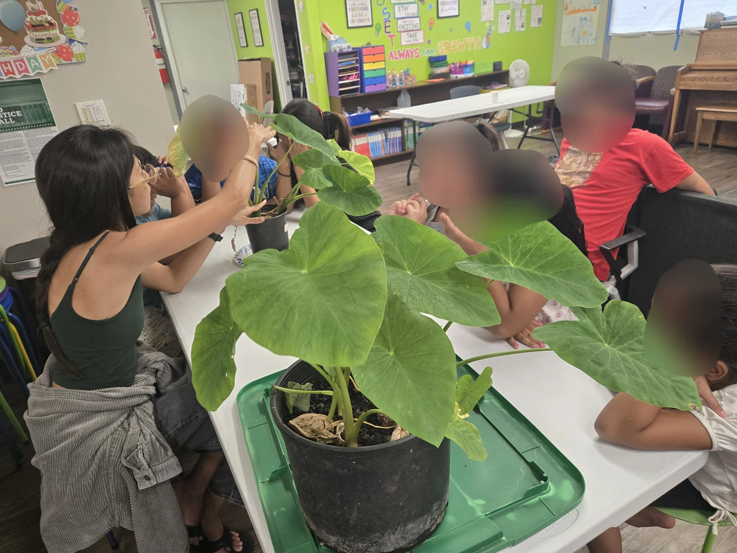 Kahauiki Village After School Arts 2026