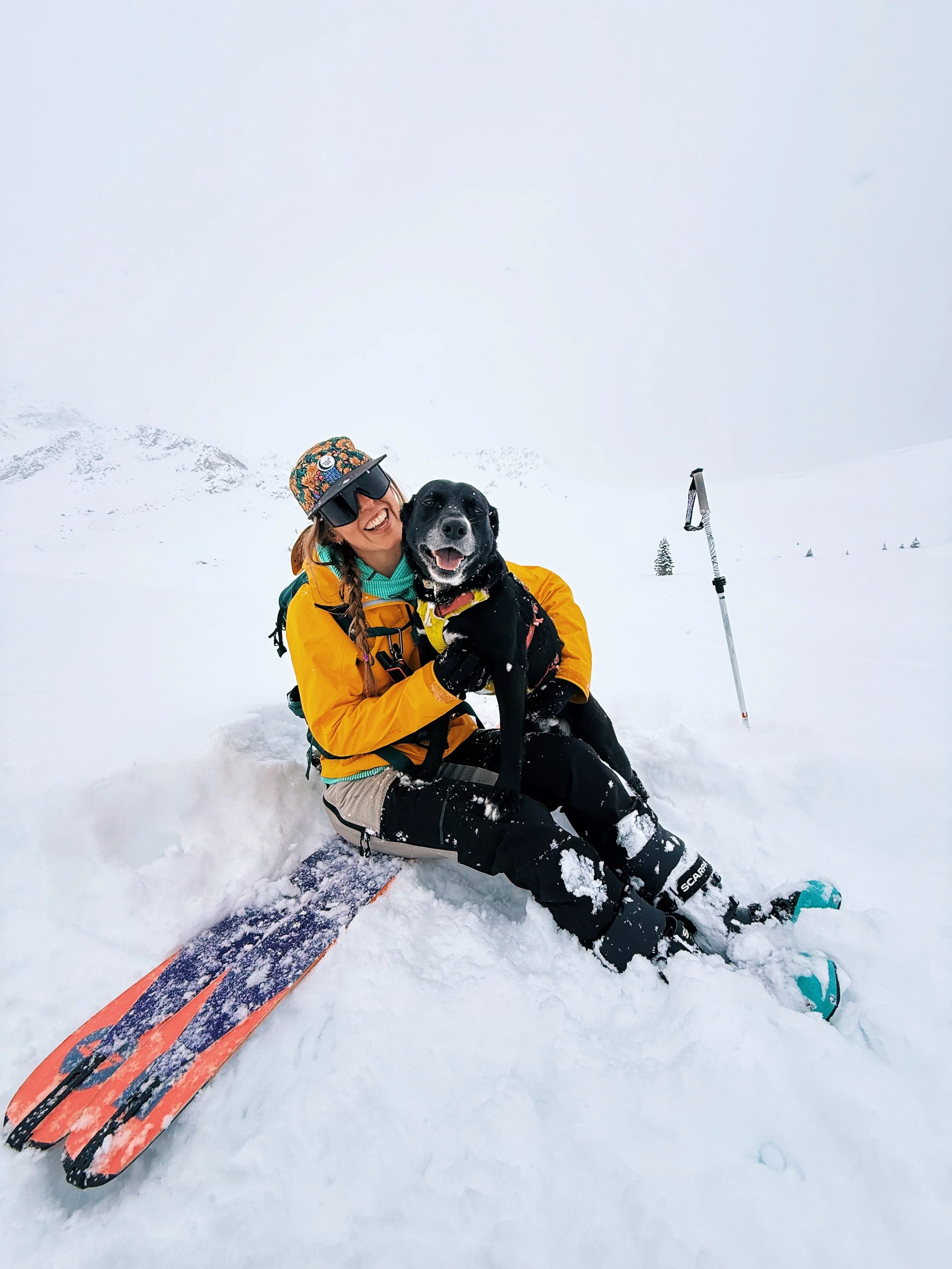 Skier sitting in snow with a dog and skis