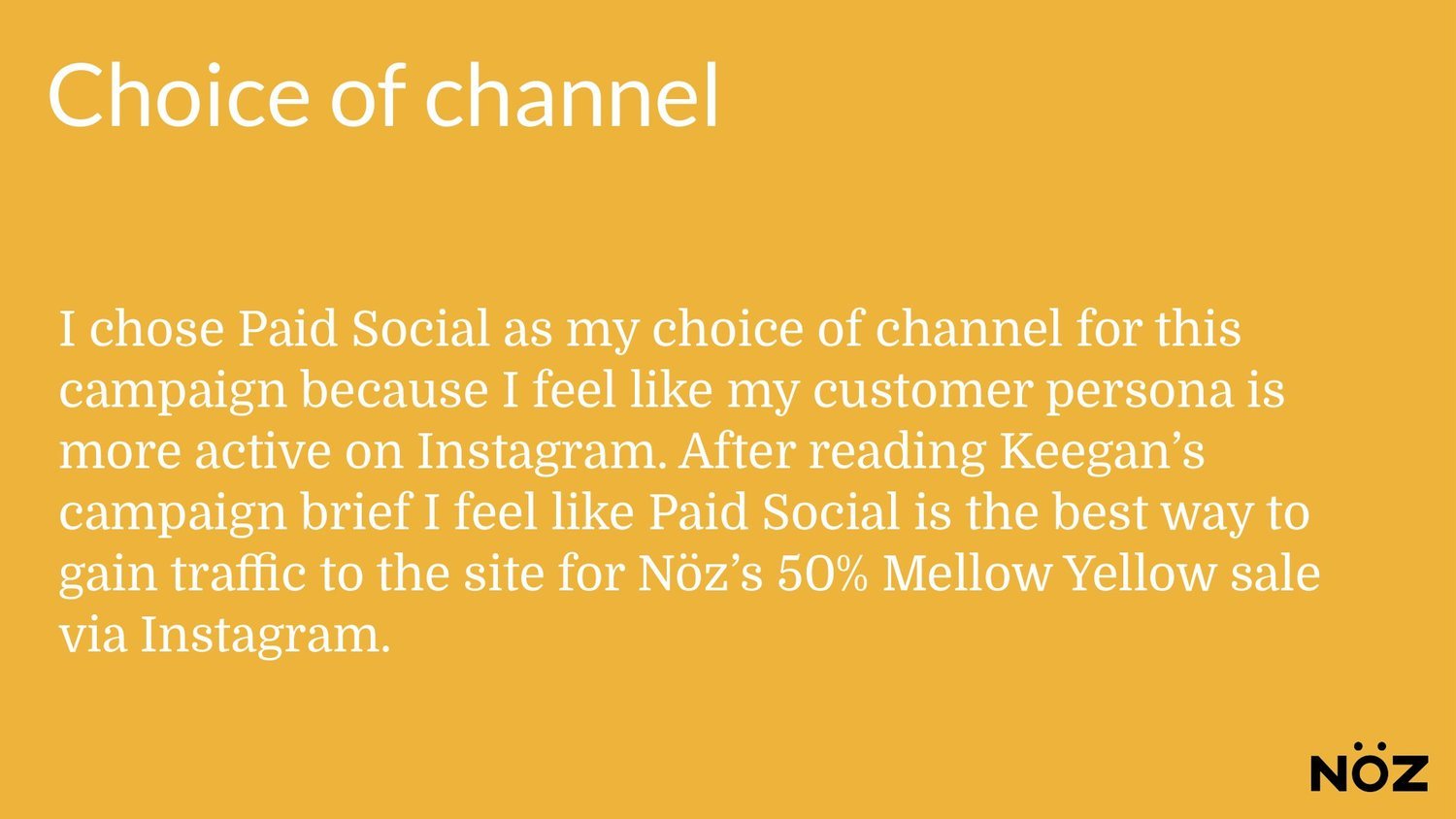 PAID+SOCIAL_Nöz+Final+Project+Template+Customer+Acquisition+-02.jpg