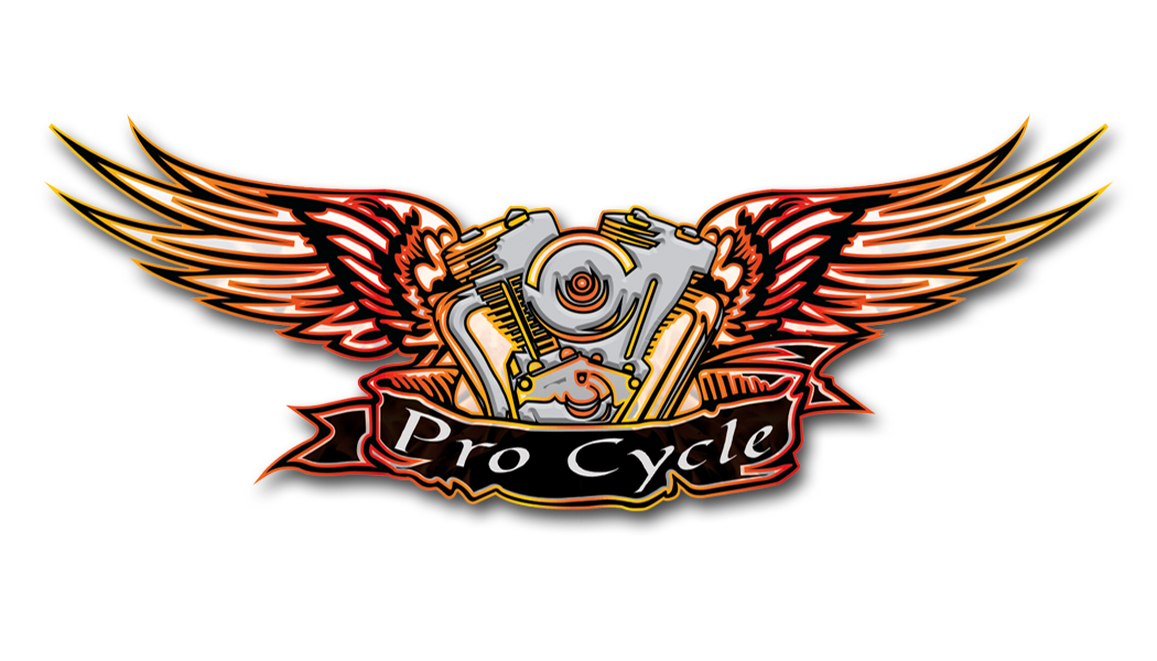 ProCycle 2010