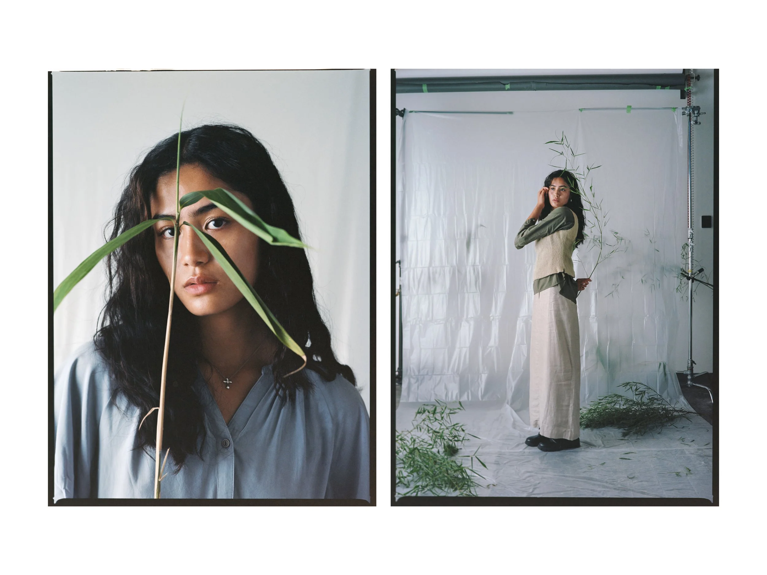 Stella for Lili and Vince