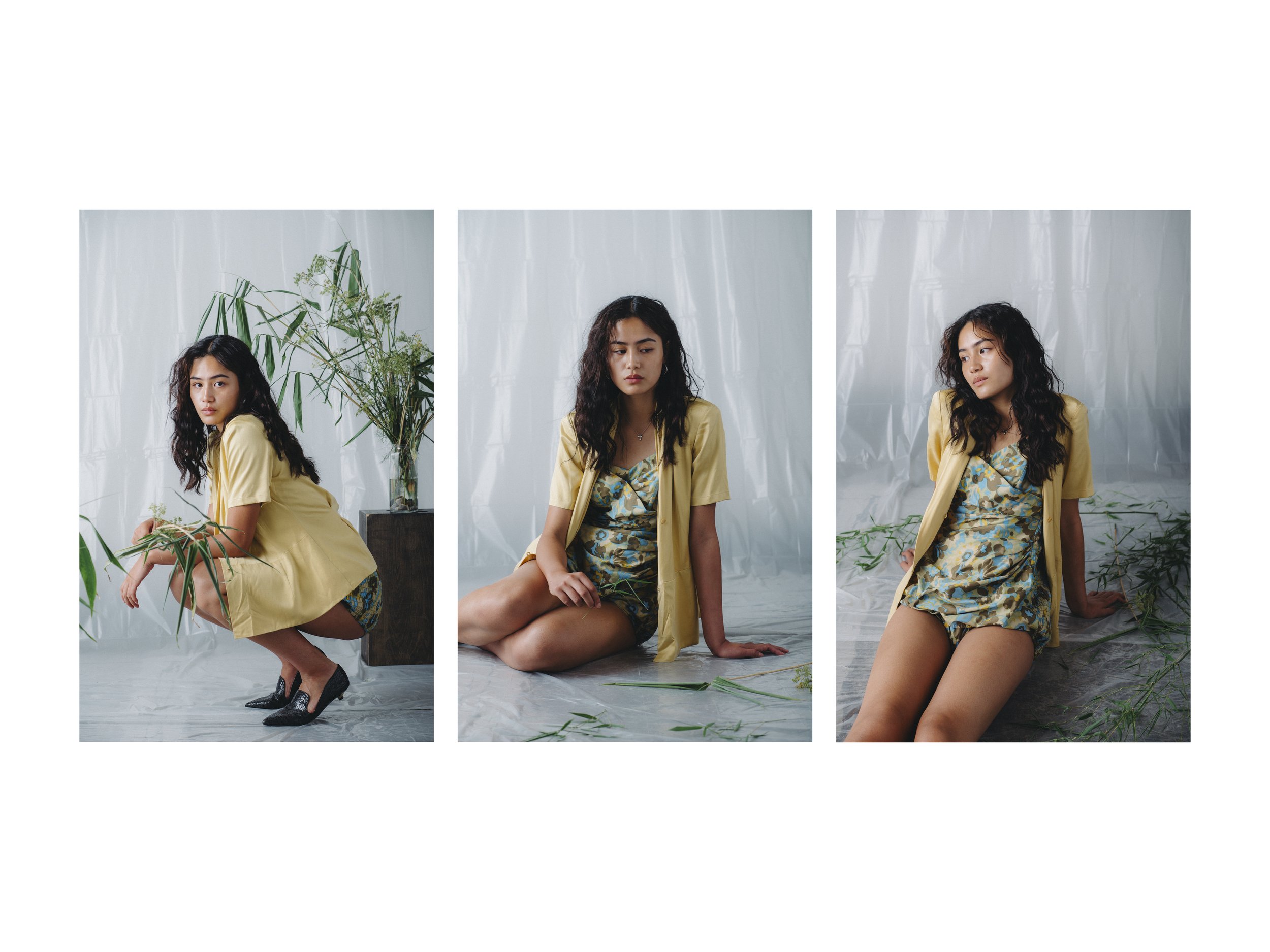 Stella_Layout_1Artboard 7.jpg