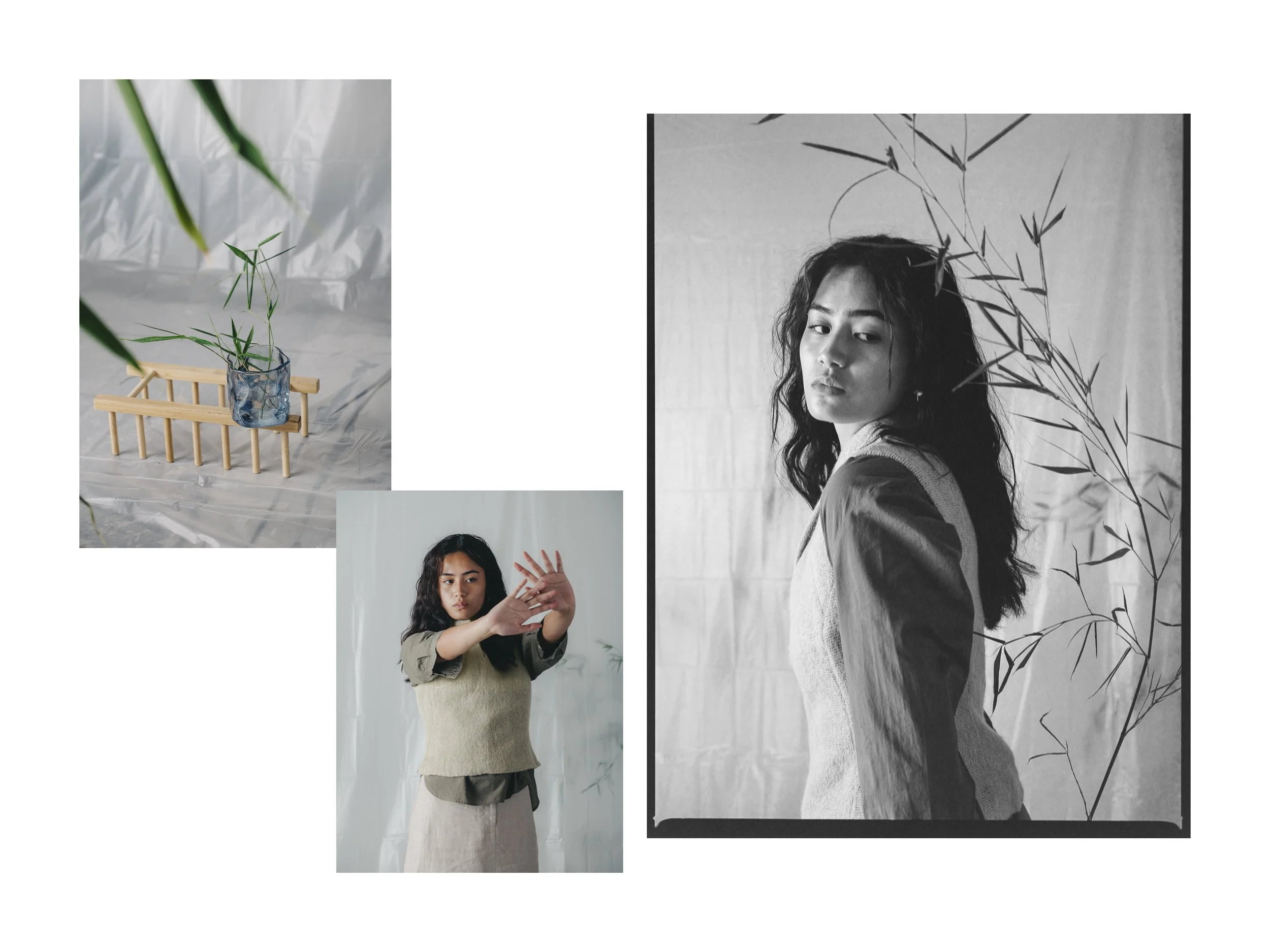 Stella_Layout_1Artboard 5.jpg