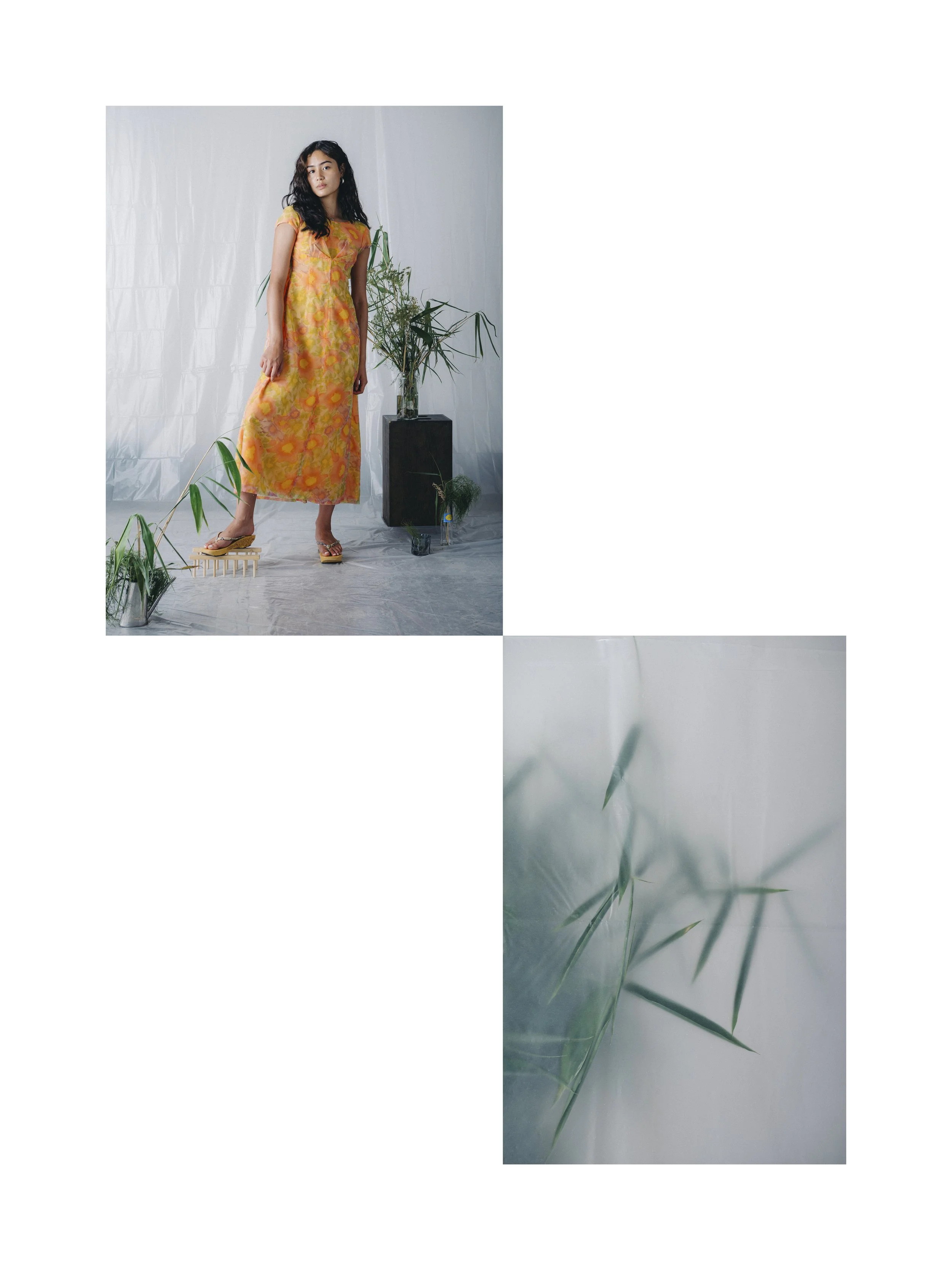 Stella Layout 2Artboard 4.jpg