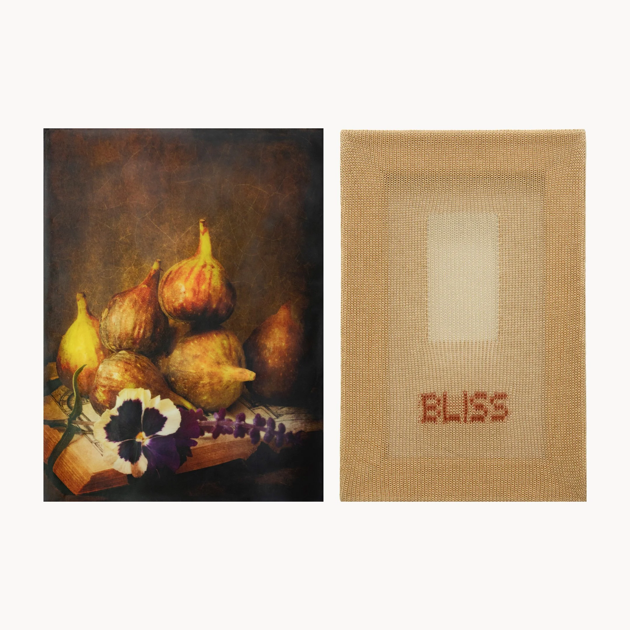 “Fiber &amp; Light” by Brigitte Carnochan and Patrick Carroll