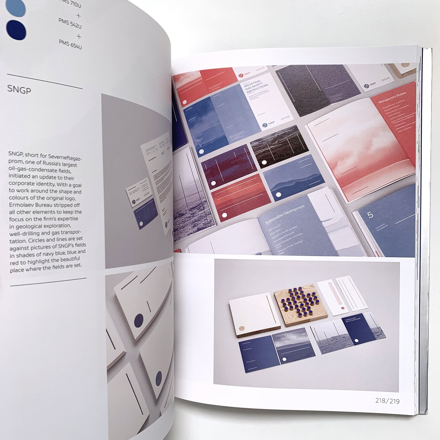 02Book_LessIsMore_LimitedColourGraphicsInDesign.jpg