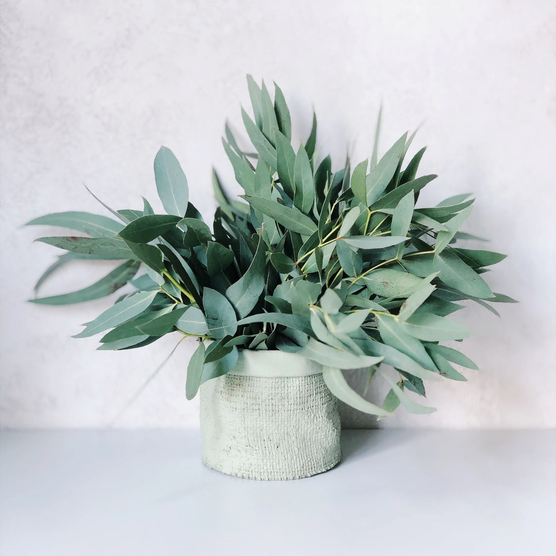 How Less is More in Business and Life with Nadine Riseham