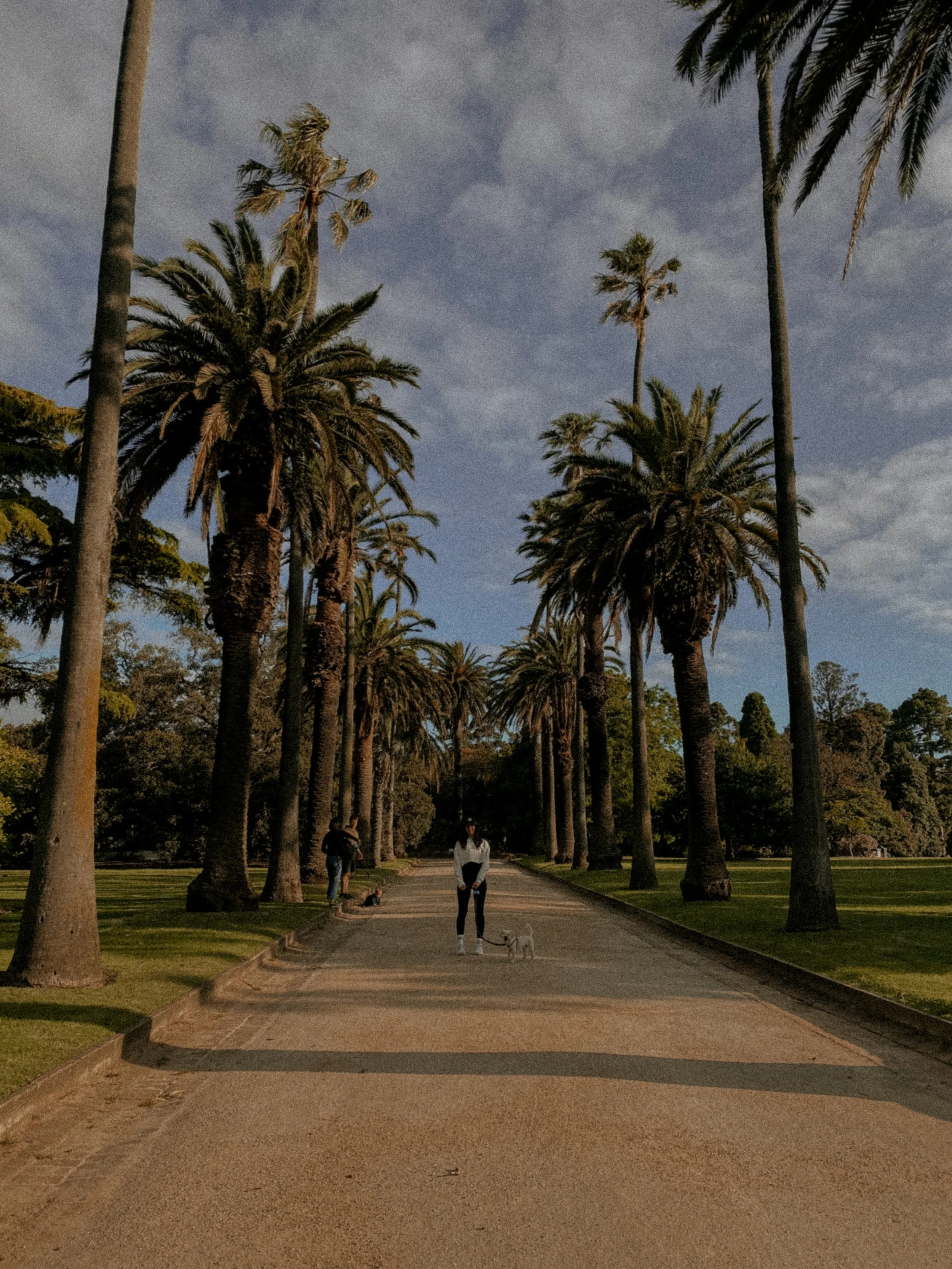 If it Doesn't exist, Create it... Be your OWN Inspiration