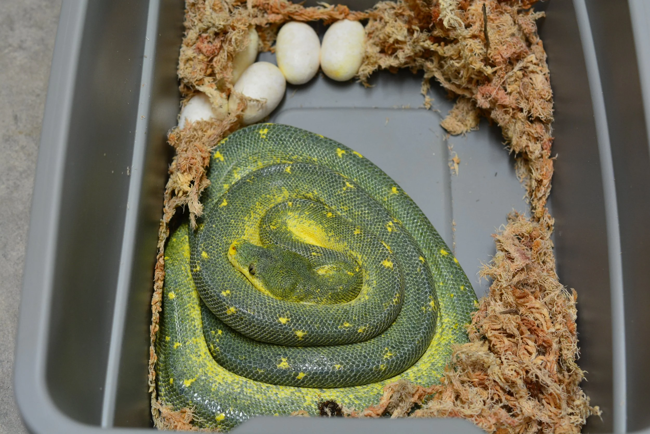 DSC_3853.JPG
