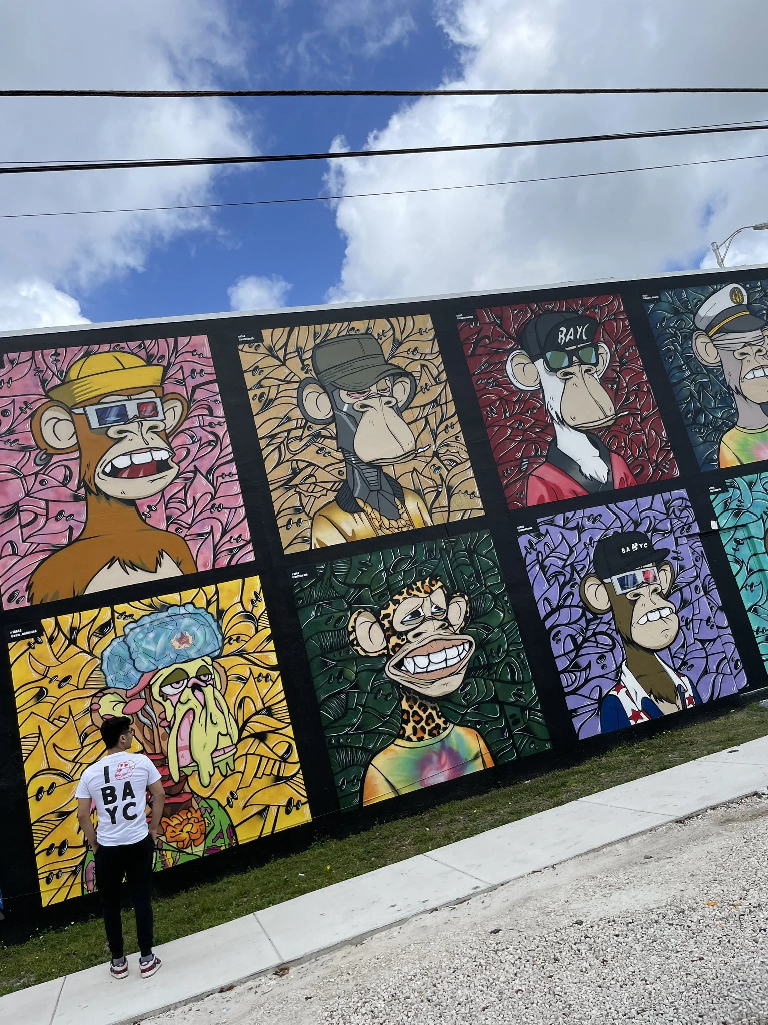 Bored Ape Wall of Fame Mural in Miami by Roc Sol Wynwood Allapattah - BAYC Mural in Miami