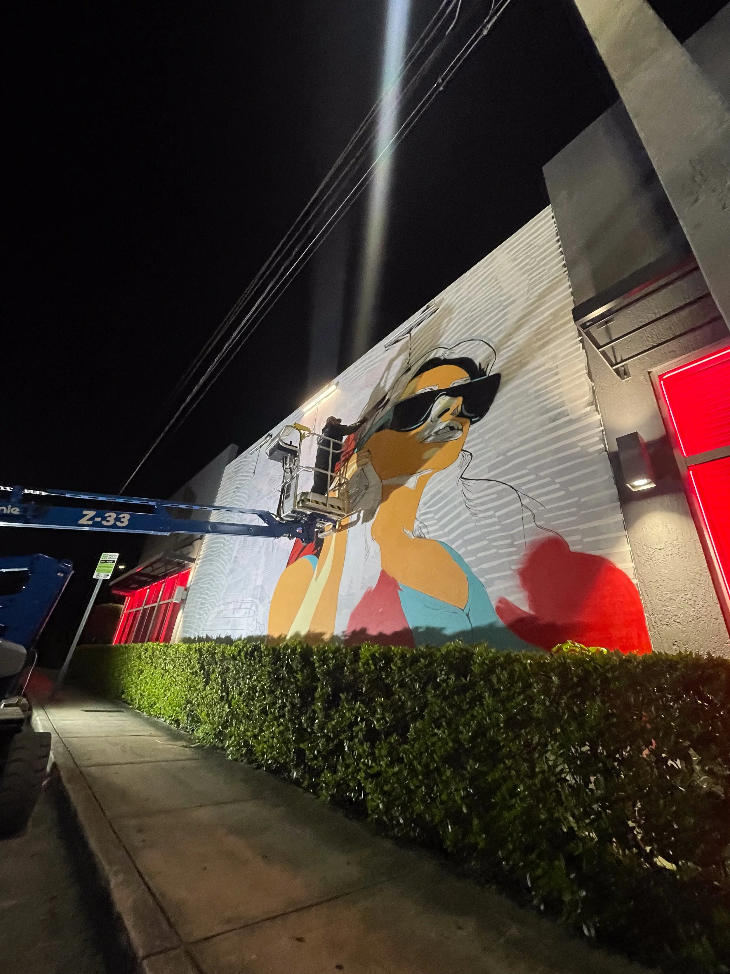 Verizon Wynwood Midtown Miami Mural by Roc Sol, Dennis Perez and Project Roadmap Murals - Miami Mural Team, Wynwood Murals