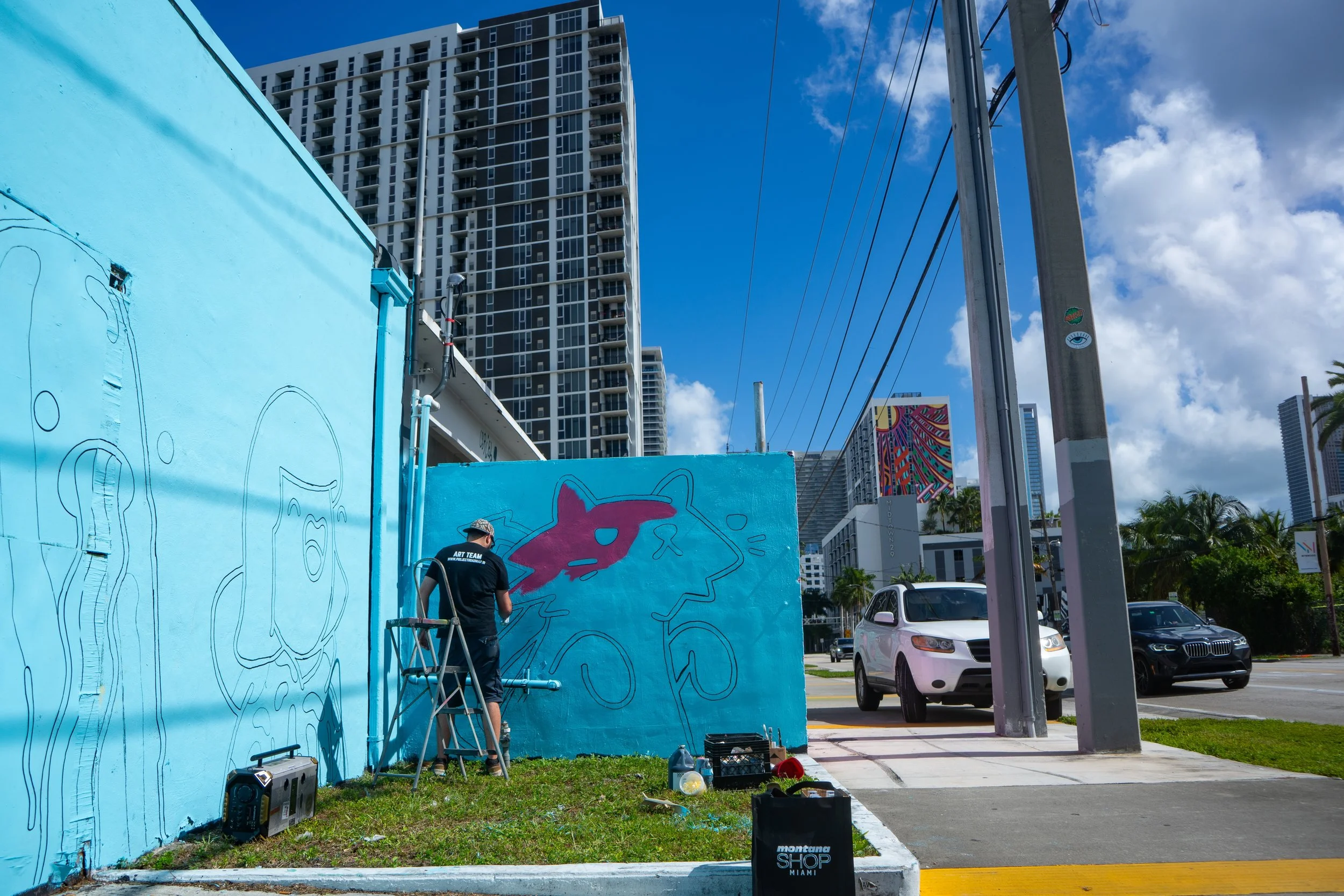 Doodles Mural - White Walls Mural - Miami Wynwood Midtown Miami Murals - Painted by Roc Sol and Dee Perez from Project Roadmap Murals - Wynwood Walls - Wynwood Mural - Miami Murals - Doodles NFT Mural - Pharrell Williams - Blondie White Walls App