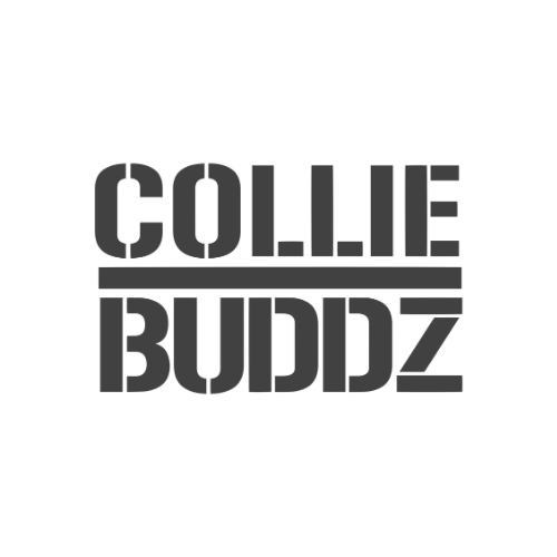 80-collie-buddz-logo.png