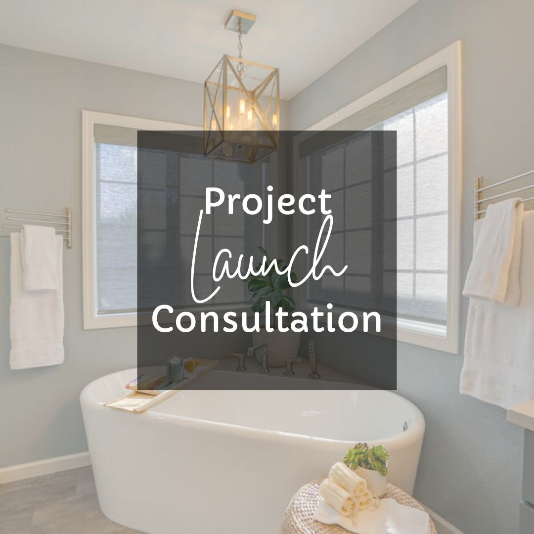 Project Launch Consultation.jpg