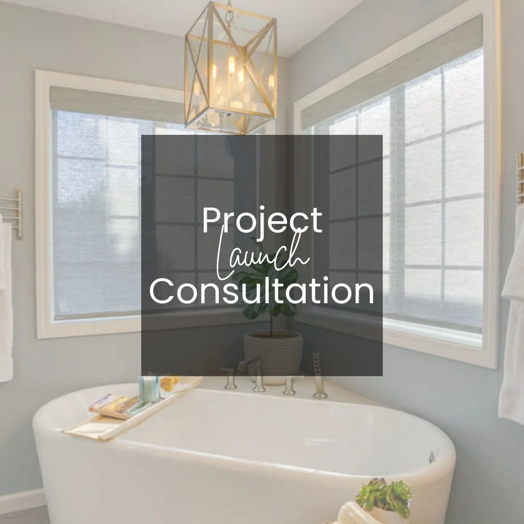 Project Launch Consultation