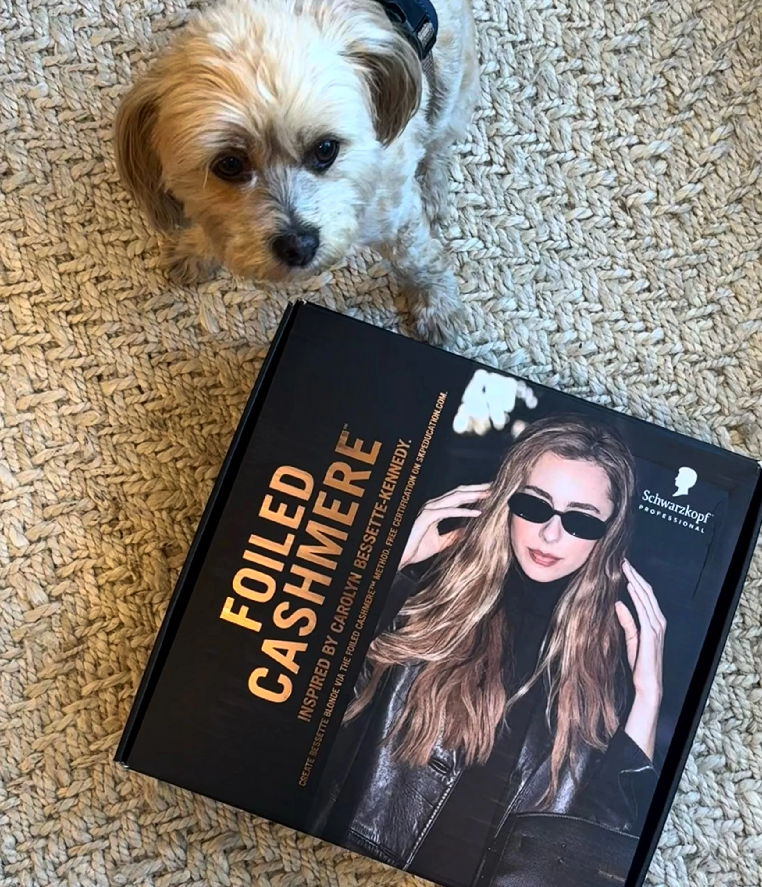 Nothing like a #foiledcashmere PR box from @schwarzkopfusa to remind you how much you are loved and how much you love this new technique! This is also the last week to enter for a chance to win a trip to Istanbul! See @schwarzkopfusa page for details