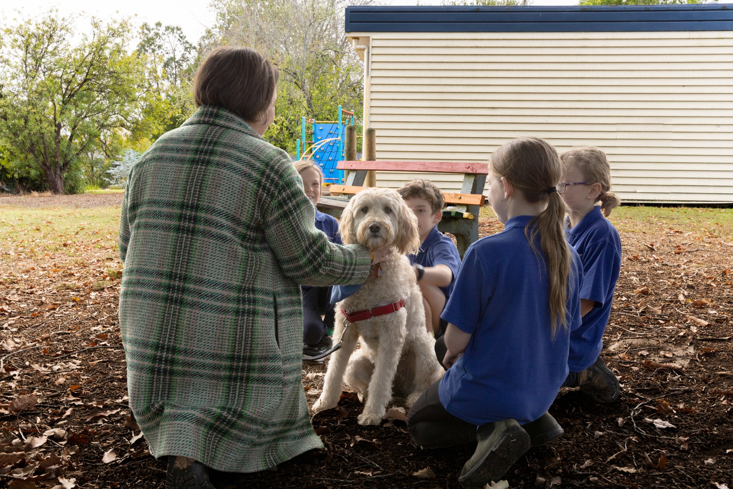  natural school photography Geelong primary school 