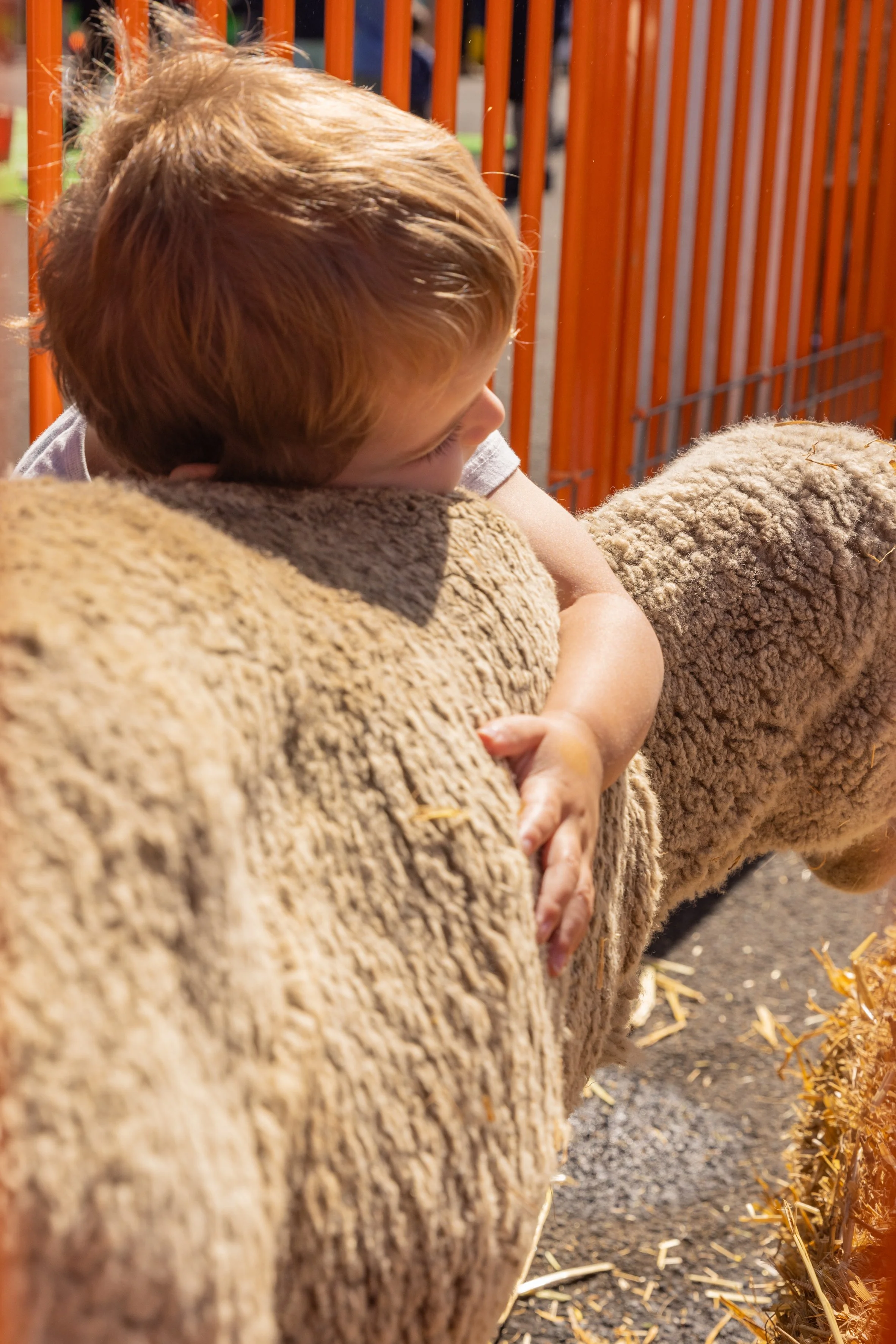 Gateways Easter Family Fun | Studio Collins Photography | Geelong event photographer | community festival photography | authentic event photography | 