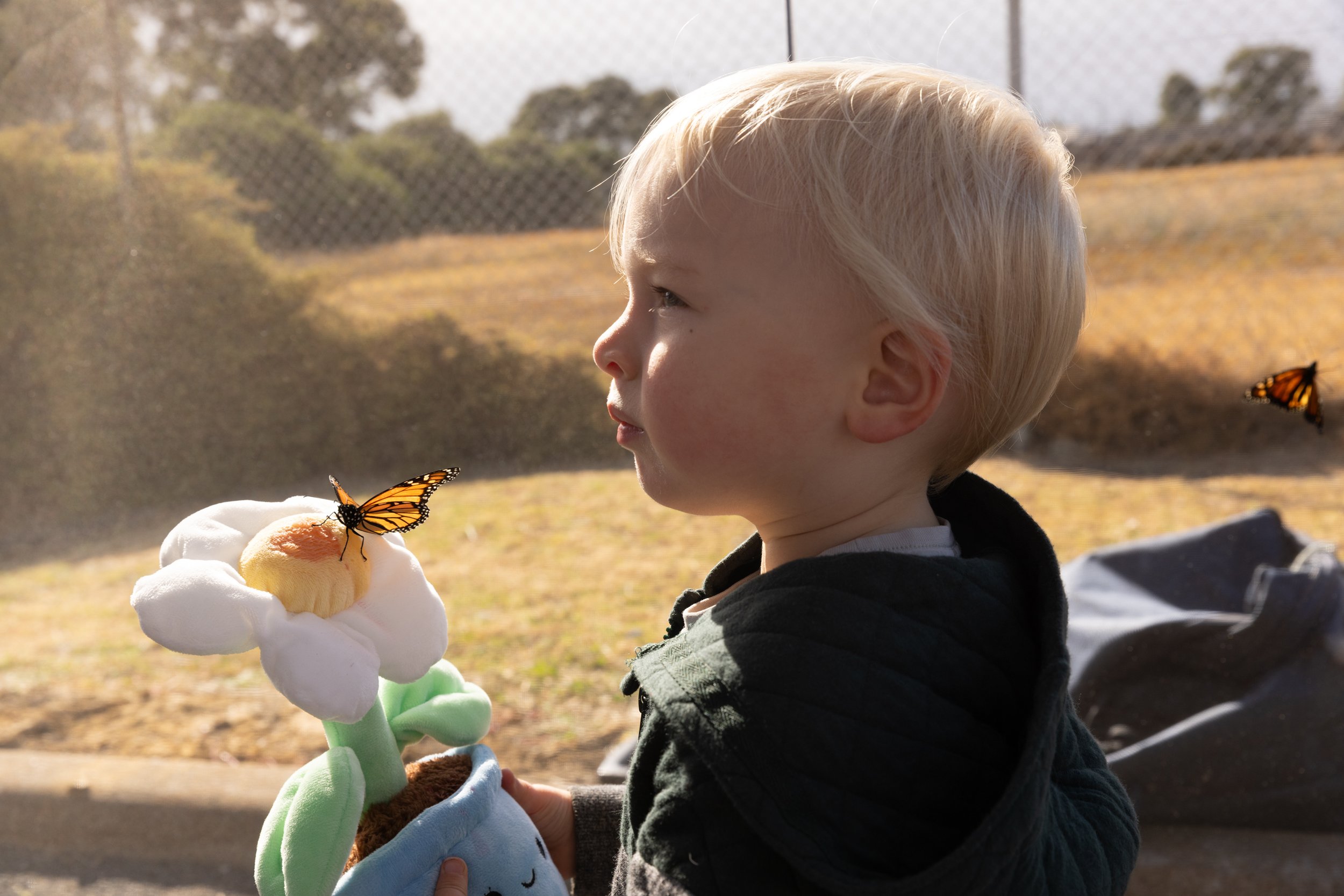 Gateways Easter Family Fun | Studio Collins Photography | Geelong event photographer | community festival photography | authentic event photography | 