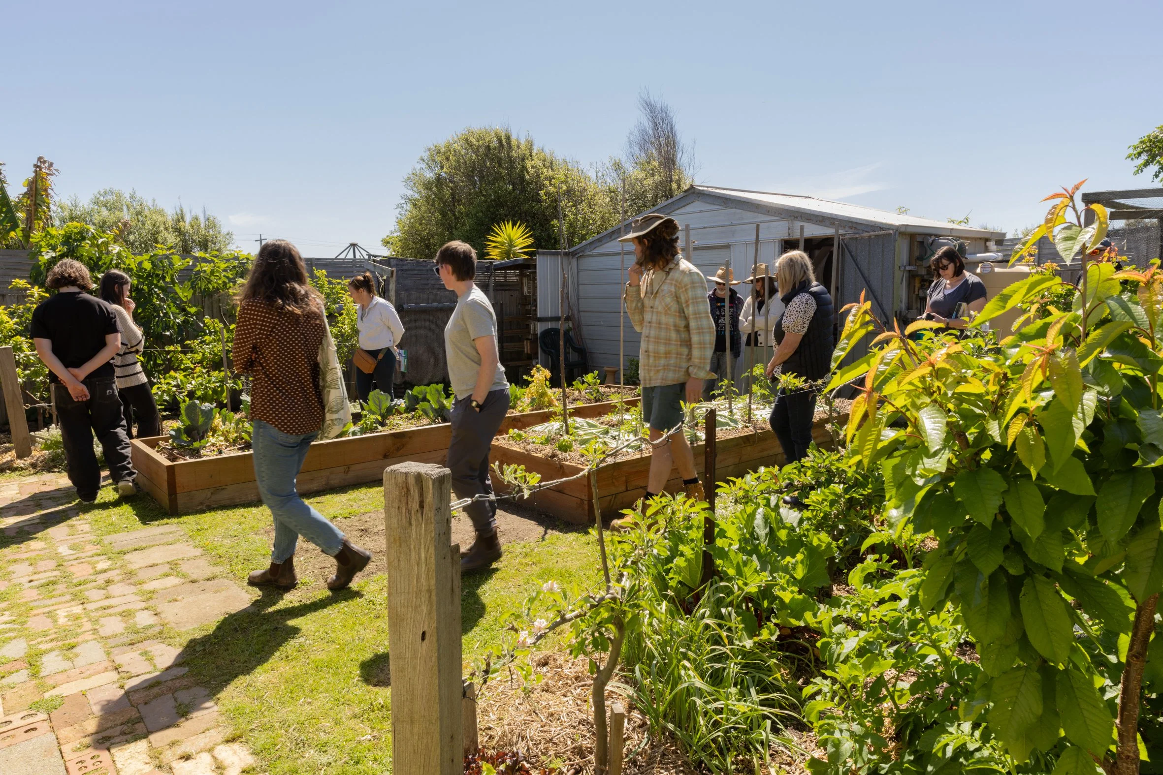sustainability event photography| Studio Collins Photography | environmental event photographer | community impact photography | non-profit event photography | purpose-driven event photography | photographer for community events Geelong | 