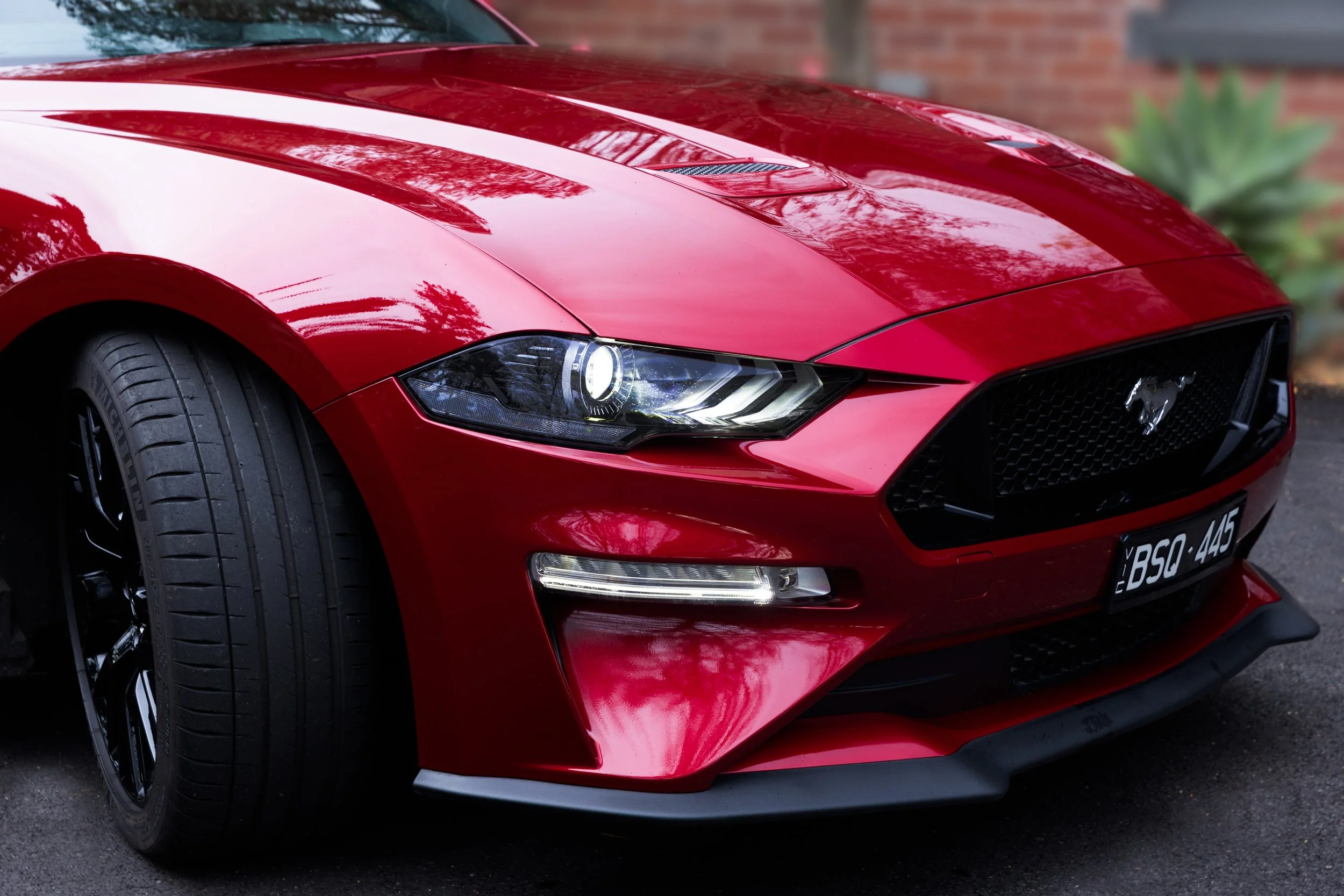 Red Ford Mustang sports car, front view, parked on asphalt with a brick wall and plants in the background.