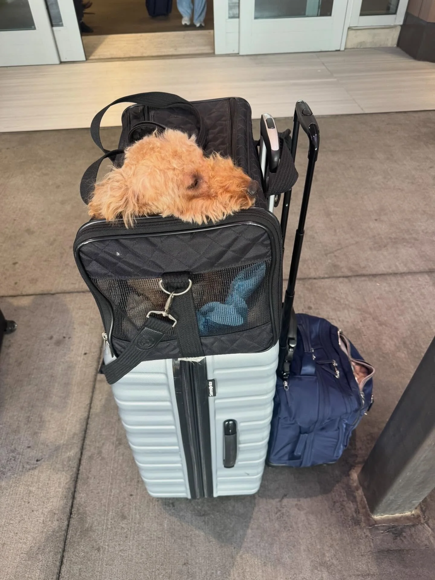 Are we done traveling?
Are we there yet?
Is that our car? 

14 1/2 hours later