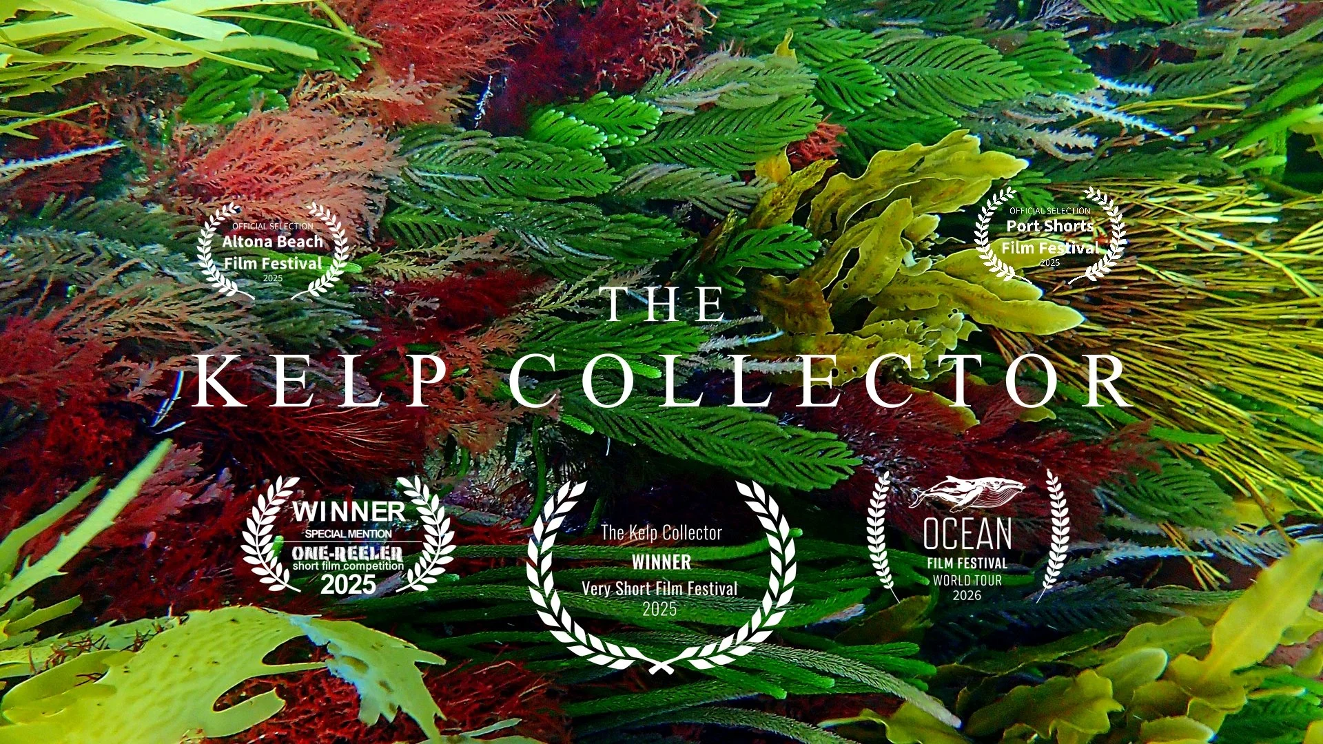 Book cover titled 'The Kelp Collector' featuring an underwater scene with various green, red, and yellow seaweed and kelp.