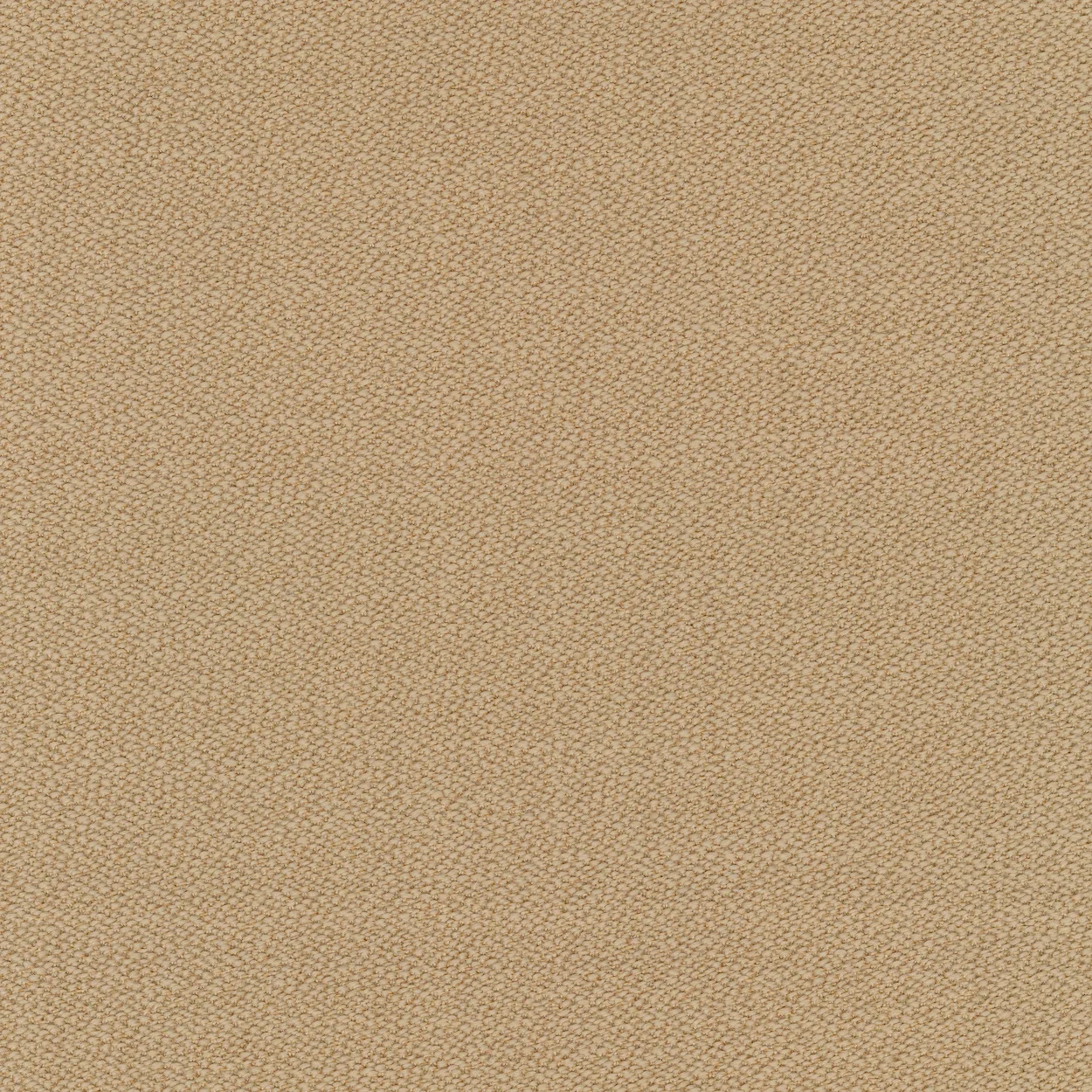 0323.webp