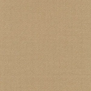 323.webp