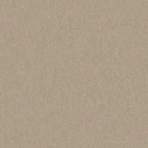 Dune.webp