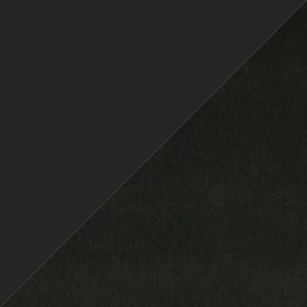 Ace Black - Ebony.png