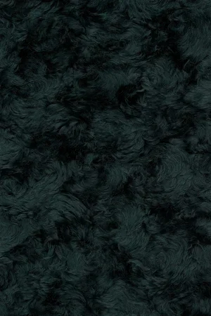 982.webp