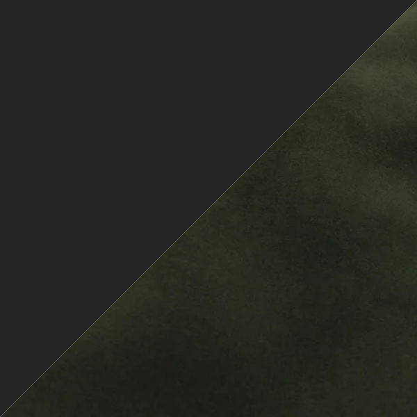 Ace Black - Vine.png