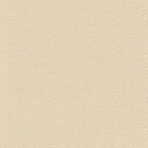 1511.webp